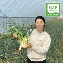 인간극장 김도혜농부님의 손질양대파 햇 양파 대파 구이용 캠핑용 김장용, 양대파 중/대(1kg)