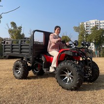 4륜 구동 오토바이 버킷포함 250cc 운반 ATV 네발, 1.5미터 버킷 패키지 2개