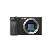 Sony Alpha a6600 소니 알파 6600 미러리스 카메라 본체만 - 블랙
