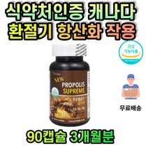프로폴리스 캡슐 항산화 환절기 건강 유지 PROPOLIS 플로폴리스 항균제 폴리폴리스 부모님 선생님 선물 목이물감 기관지 영양제 목통증 목아플때 가을 겨울 날씨 계절 변화