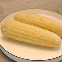 기장찰옥수수 진공포장 10개(2팩) 무첨가 찐 삶은 냉동 찰 옥수수, 미백찰 10개