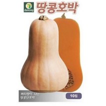 다농 땅콩호박씨앗 호박씨앗 10p, 19개
