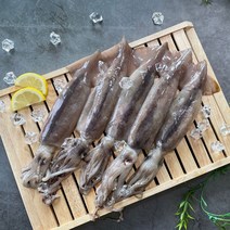 오징어 통오징어 초코 선동 총알 통찜용 손질오징어 냉동 급냉 파지 원양산 국내산 1kg, [국내산] 선동 통오징어 2미 - 350g내외