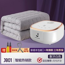 [독일 브랜드]거실온수매트 1인용온수매트 싱글 온수매트 침대 캠핑 전기 장판 차박 무소음 온매트보일러 온수 매트, 인텔리전트 서모스탯 + 고급 매트리스- 오너가 추, 180x200cm