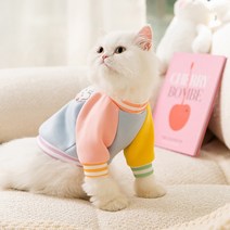고양이옷 강아지 실내복 애견 가을옷 겨울옷 티셔츠 토끼 패치