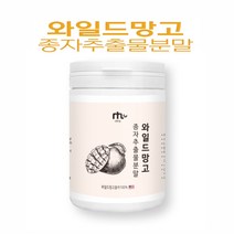 와일드망고 분말 가루 야생 아프리칸 망고 씨앗 종자 100% 렙틴 아디포넥틴 효능 추천, 1개, 200g