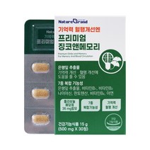 네이처그랜드 기억력 혈행개선엔 프리미엄 징코앤메모리 30정, 1개