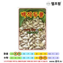헬프팜 백작두콩 500g 작두콩 종자 씨앗 동원농산종묘