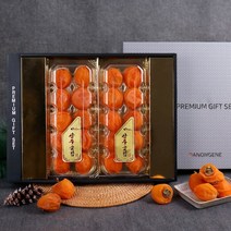 다농이네 [다농이네] 상주곶감 프리미엄 햇 왕 반건시 다농 2호 선물세트 [45g~55g 20입 1.1Kg내외]
