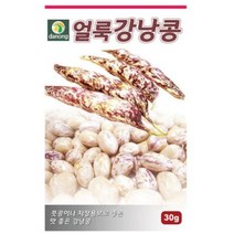 다농 얼룩 강낭콩 씨앗, 10팩