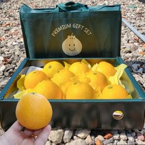 고급선물세트 제주특산품 [황금향], [선물가방포함] 3kg (랜덤과 5-15과), 1박스