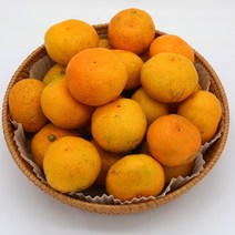 무농약 제주감귤 5kg 10kg, 1개, 감귤 10kg