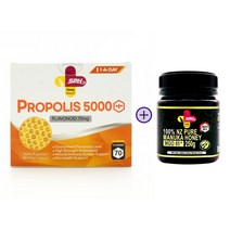 뉴질랜드 프로폴리스 SPH 초고함량 5000mg 180캡슐, 1개