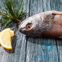 반건조 손질되어 먹기 편한 제수용 반찬용 국산 민어 여수 참 민어, 37cm 1마리