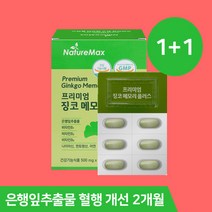 은행잎추출물 징코 혈행 기억력 개선 영양제 약 2개월분 마스크 증정