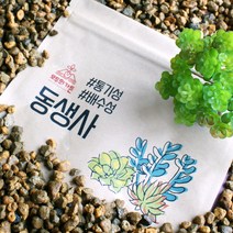 동생사 화분 화초 분갈이흙 분재 야생화 화분갈이 배수층 세립 소립 중립 ss, 중립(6~10mm) 2L, 2000ml, 1개