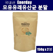 락토바실러스 가세리 모유유래유산균 가루 프리바이오틱스 fos 분말 프락토올리고당 신바이오틱스 프로바이오틱스 생유산균 말토덱스트린 19종 장내 유익균 먹이 100억 보장균수 뱃살 장건강 대용량, 2봉, 150g