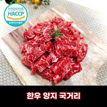 디에스미트 한우 양지 국거리 우시산한우 1등급이상 냉장, 300g, 2개