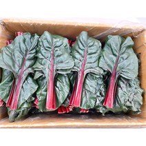 야채왕 비트잎 2kg 잎비트, 1개