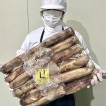 원양산 선상 급냉 포크 오징어 20kg 포클랜드 대용량 업소용 채낚기 선동 통오징어 냉동, S 20kg (약 120미)