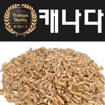 [안전한 수입검역통과제품] 호라산밀 2022년 햇 최근통관 호라산밀의 본고장 캐나다산, 2kg(지퍼백), 1개