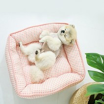 말썽쟁이여름 새콤달콤 웰빙 천연 인견 자연섬유 아토피 강아지 애견 개 반려견 중형견 꿀잠 마약 여름 쿨 쿨링 사각 방석 쿠션 펫침대