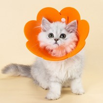미우프 강아지 고양이 넥카라 상처보호 중성화 쿠션 깔대기, 오렌지