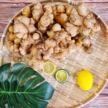 국내산 흙 생강 1Kg 특품 충남 서산 특산물, 흑생강 2Kg, 1개