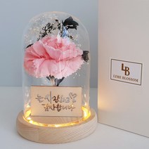핑크 카네이션 LED 무드등 어버이날 부모님 선물 장식, 핑크카네이션LED