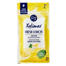 핀란드 직수입 고함량 자일리톨 질리맥스 후레쉬 레몬민트 35g 휴대용, 1개
