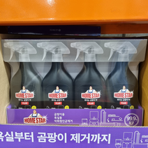 HOMESTAR 홈스타 뿌리는 곰팡이 싹 욕실용 750ml X 4PK 코스트코