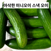 아삭한 스낵오이 미니오이 1kg 피클용 미니 오이 절임용 오이 국내산 국산오이 국산 스낵 오이