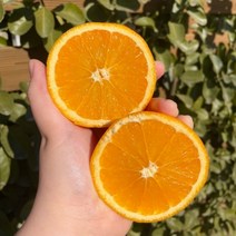 당도선별 퓨어스펙 오렌지 고당도 블랙라벨 썬키스트 카라카라 3kg, 17kg(L사이즈, 72과), 1개