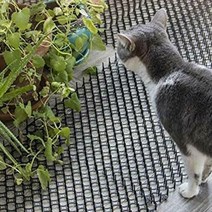 야생동물그물 새퇴치 비둘기퇴치망 버드스파이크 야생동물퇴치 야생동물방지 야생동물 스파이크 조류퇴치 1, 상세페이지 참조