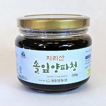 청운당농산 지리산 솔잎 양파청 순수 양파 빨간 자색 양파즙 조청, 1병, 500g
