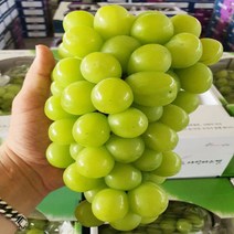 고당도 프리미엄 샤인머스켓 2kg 4kg(실중량) 16 900원~, 정품 샤인 4kg(4~12수)