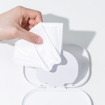 MASKEEPER 국산 휴대용 항균 마스크케이스 화이트 1개