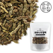 순수한집 회화나무열매, 600g, 1개