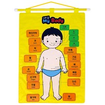 [동화오피스] 청양 벽걸이차트 나의몸 My Body / 펠트교구 학습자료