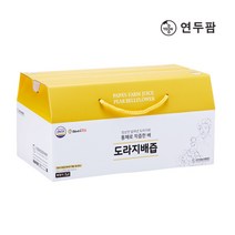 [연두팜] 아빠의주스 도라지배즙 100ml 20개입, 1, 1