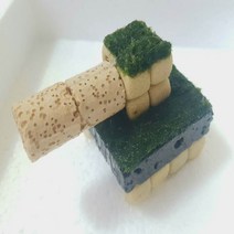 모스볼활착미니탱크 체리생이새우어항꾸미기 초보음성수초키우기