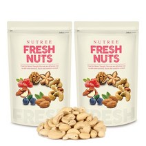 [너트리] 생캐슈넛 500g x 2개