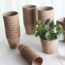 지피 원형포트 10개입, 6호(6x6)10개입