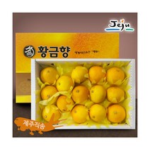 [올찬농산] 황금향 선물세트(중) 5kg 27~30과 / 제주직송, 상세 설명 참조