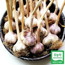 서산 무농약 마늘 통마늘 난지형 반접 50개(왕), 단품