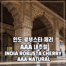(커피생두) 76 인도 로부스타 체리 AAA 내추럴 1kg, 1개