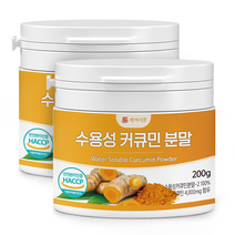 수용성커큐민 분말 200g HACCP 인증제품, 200g x 2개