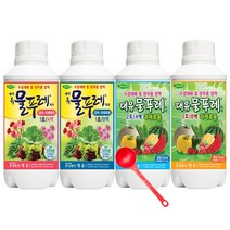 대유 물푸레 500ml 수경재배 양액비료 액비 엽채류 화훼류 과채류, 물푸레2호 A액 500ml