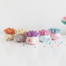 천연이끼 키우기 동물 모스 화분 파스텔색 관리쉬운공기정화식물, 코끼리, 망고