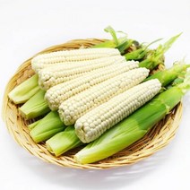 [생산자직송] 괴산 공정임님의 급냉 찰옥수수(하) 30개, 단품